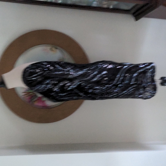 Express Dress - Picture 3 of 12